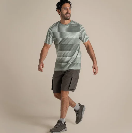 Buffon T-Shirt für Herren | Lichen Green Stripe